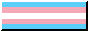 Trans Flag Badge